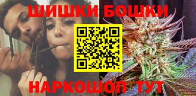 МДПВ Можга