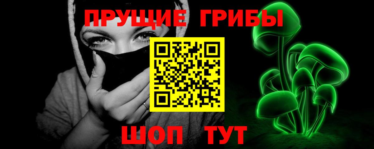 Воткинск  Галлюциногенные грибы Cubensis  Вход с VPN 